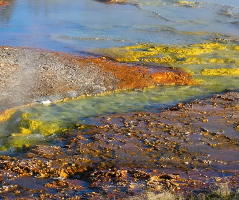 Over 25 Amazing Things to do in Yellowstone with Kids 9 Lowe Geyser Basin in Yellowstone National Park