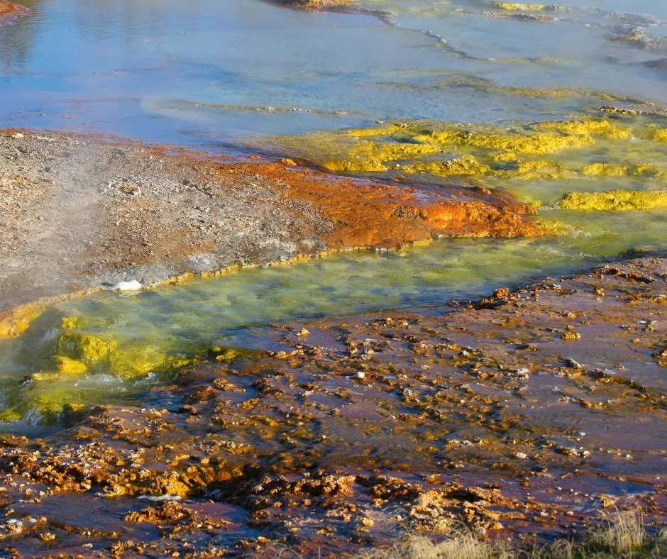 Lowe Geyser Basin in Yellowstone National Park