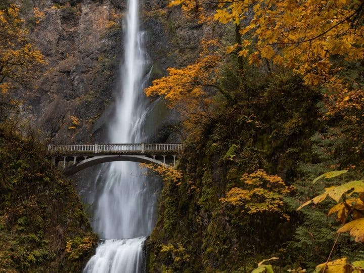 Oregon Fall Colors- 13 Places to See Oregon Fall Foliage