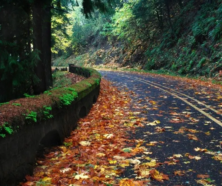 HIstoric Columbia River HIghway is lovely in the fall