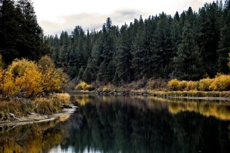 Deschutes River Fall Color in Oregon