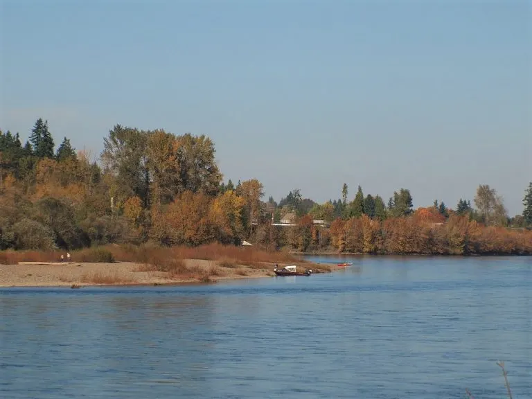 Minto Brown Island Park in Salem is a nice spot to enjoy fall foliage