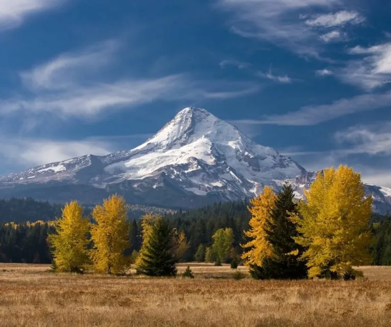 Mount Hood is a nice place to enjoy early season fall color in Oregon
