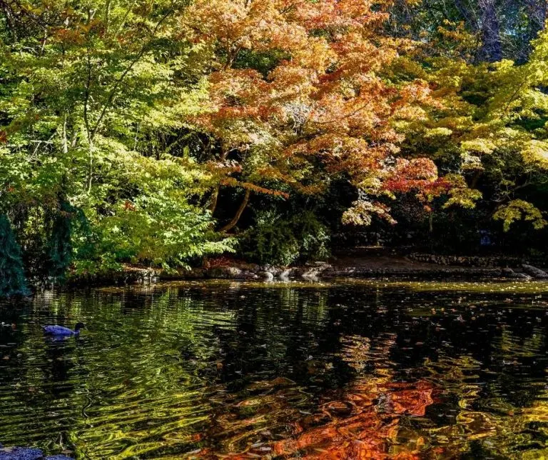 Lithia Park in Ashland, Oregon