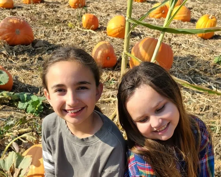 best pumpkin patches in San Diego County definitely include Bates Nuts farm