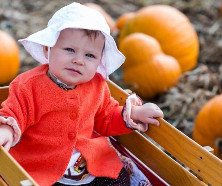 9 Great Pumpkin Patches in Las Vegas for 2024