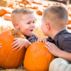 9 Great Pumpkin Patches in Las Vegas for 2023