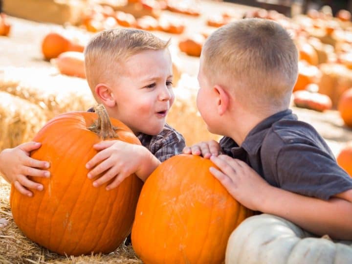 8 Great Pumpkin Patches in Las Vegas for 2021