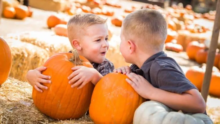 Pumpkin Patches in San Diego