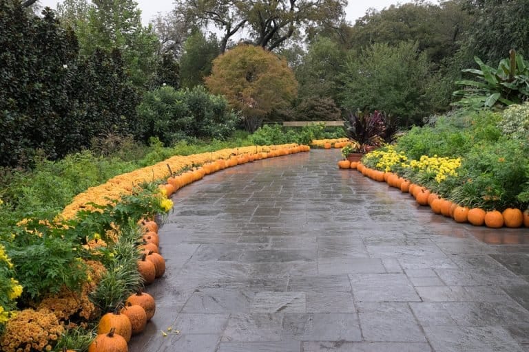 Autumn at the Arboretum