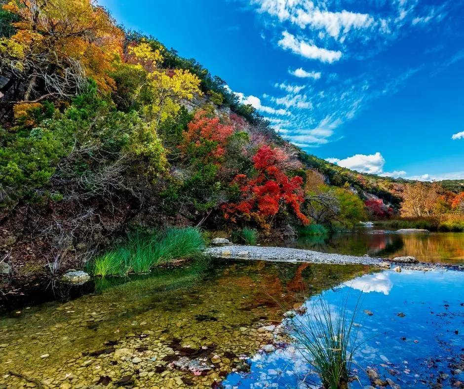 Lost Maples State Natural Area is a great place to enjoy Texas Fall Colors