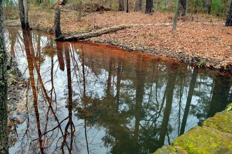 Daingerfield State Park in Texas