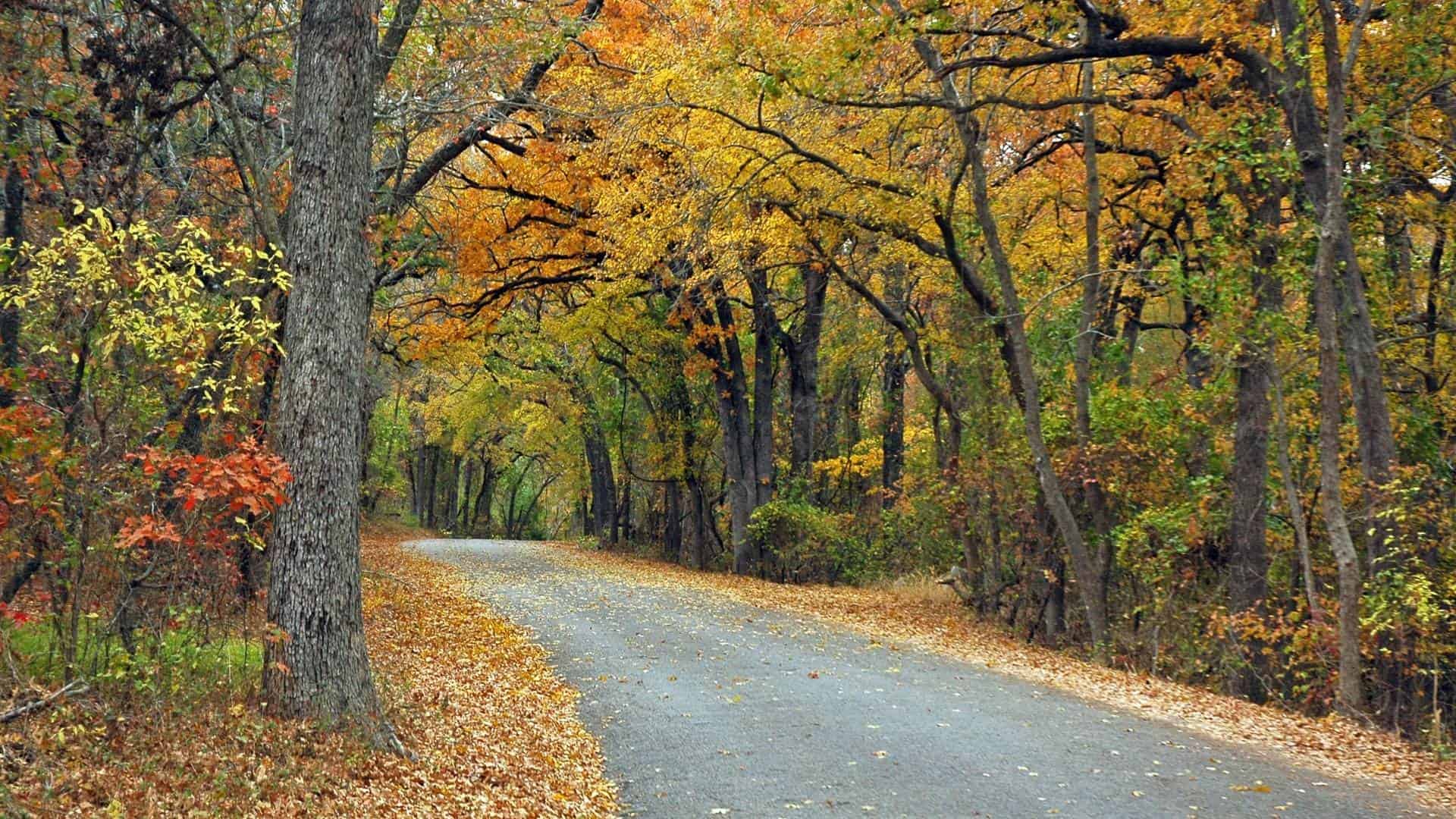 Fall Colors in Texas 10 Spots to Enjoy Fall in Texas