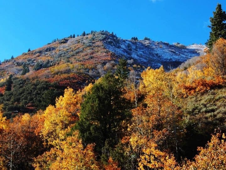 Utah Fall Colors- 10 Places to Enjoy Fall Foliage in Utah