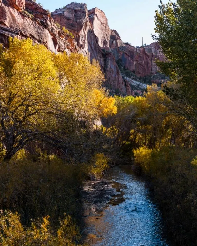 Fall color along Scenic Byway 12 in Utah