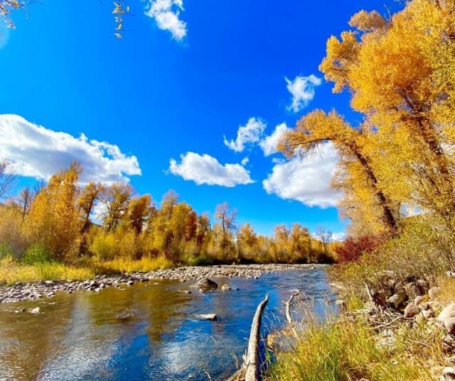 Fall In Utah- 16 Places To Enjoy Utah Fall Colors In 2024