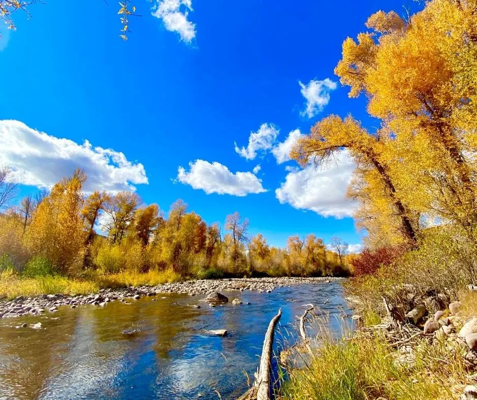 Fall colors in Utah's Big  Cottonwood Canyon