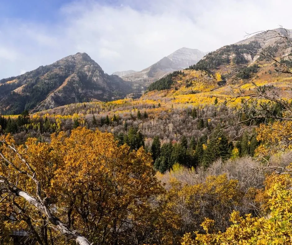 You will find brilliant Utah fall colors along the Alpine Loop 