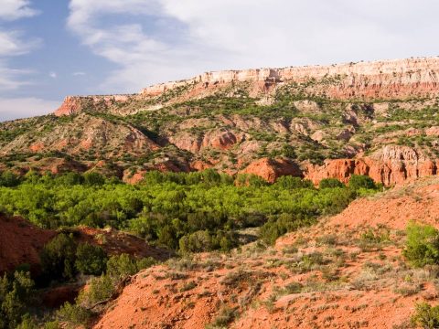 The 17 Best State Parks in Texas You Need to Visit