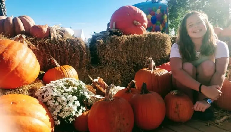 Pumpkin Patch at Dreamland