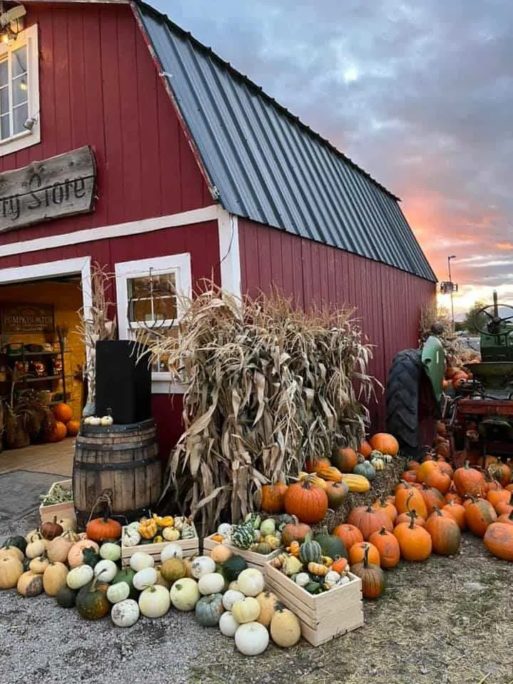 Hee Haw Farms Fall Festival in Utah