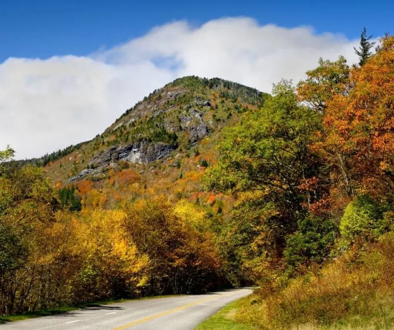 Mount Mitchell is a great place to enjoy North Carolina fall foliage