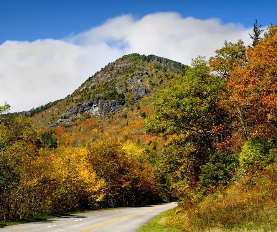 Mount Mitchell is a great place to enjoy North Carolina fall foliage