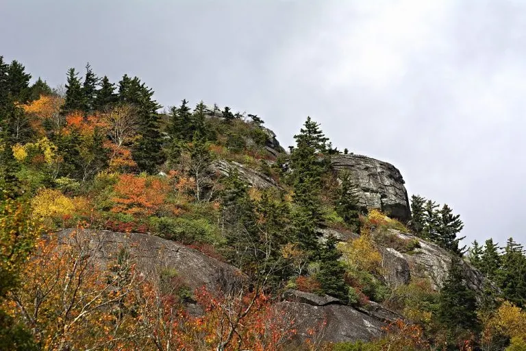 North Carolina fall Colors can be found at Grandfather Mountain
