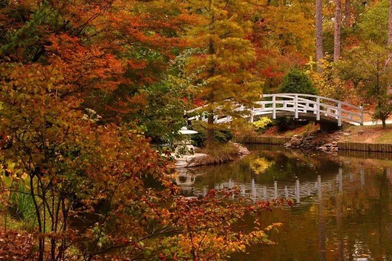 Fall at Duke Gardens is beautiful