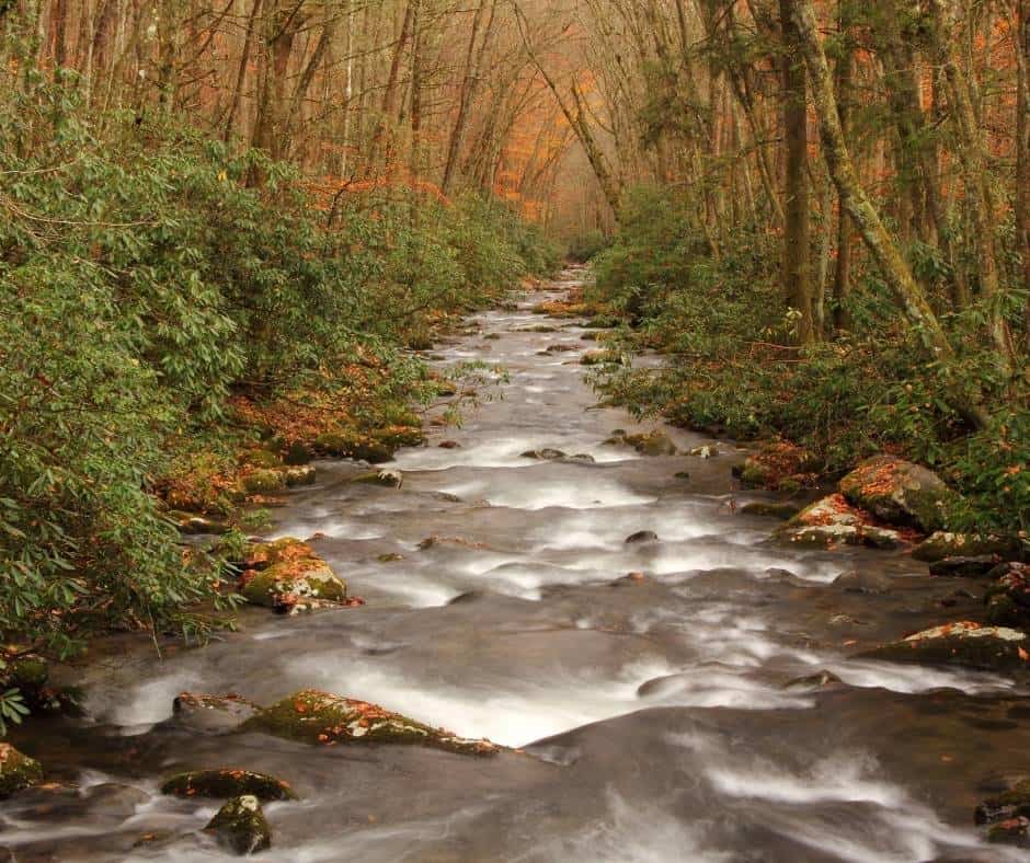 Oconaluftee River fall foliage in North Carolina