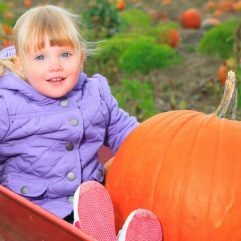 8 Great Pumpkin Patches in Orange County for 2022
