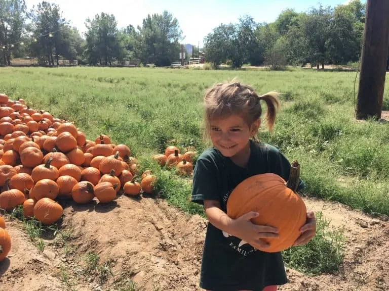 Schnepf Farms Pumpkin and Chili Party