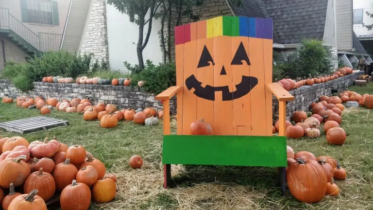 Pumpkin patches in Austin