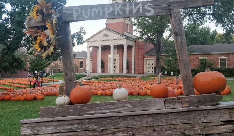 One of the best pumpkin patches in AUstin is the Tarrytown Pumpkin Patch