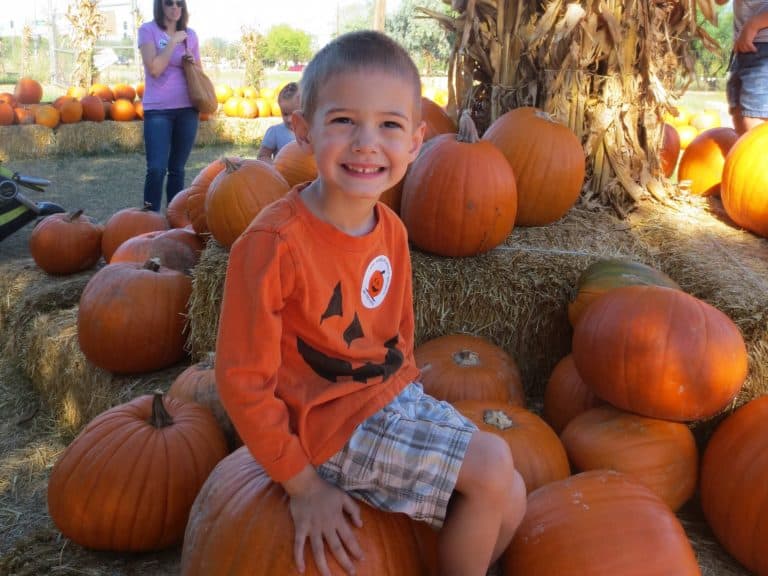 Pumpkin Patches in Arizona