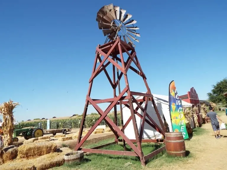 Tolmachoff Farms Pumpkin Days