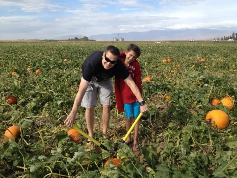 The best Pumpkin patches in Arizona include Apple Annies