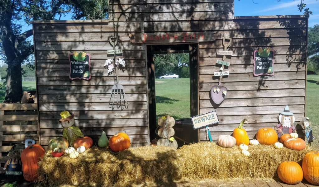 11 Awesome Pumpkin Patches in Austin, Texas 1