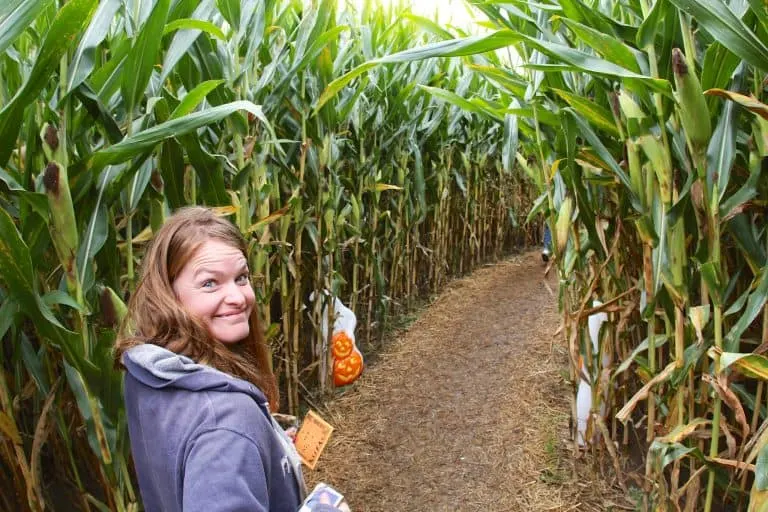 The Willis Farm Corn Maze