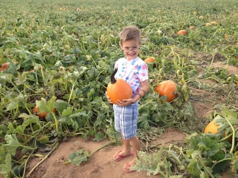 The 10 Best Pumpkin Patches in Arizona for Families in 2024