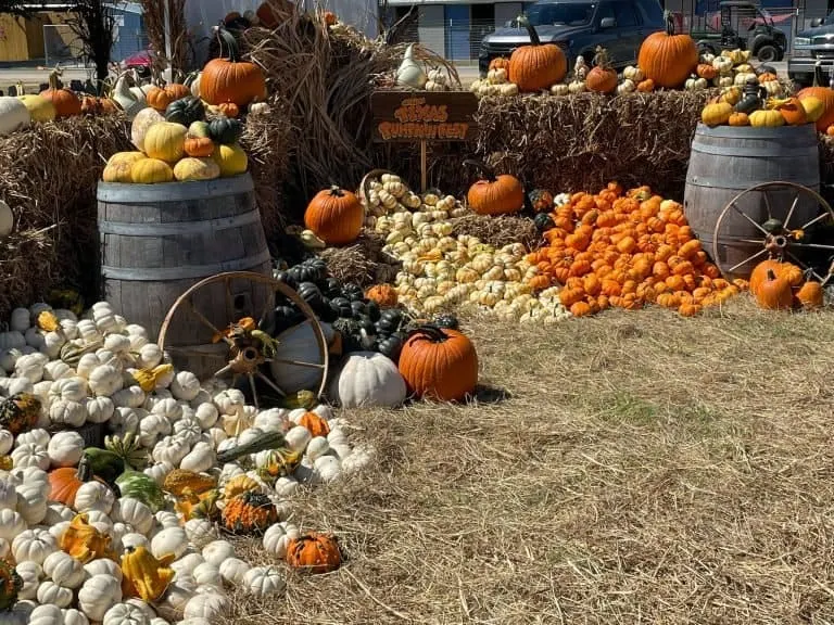 Texas Pumpkin Fest