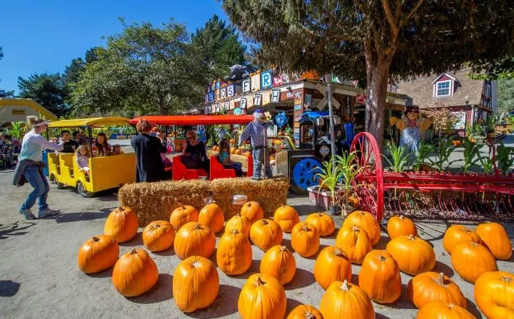 Lemos Farm in Half Moon Bay