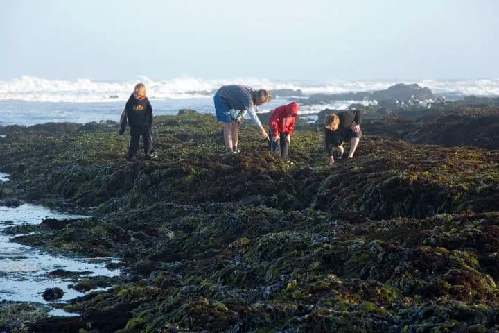 Fitzgerald Marine Reserve