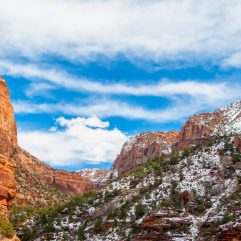 Zion in Winter – Your Guide to a Perfect Winter Visit to Zion National Park