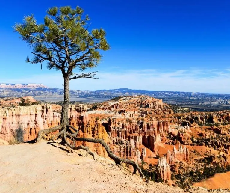 Bristlecone Loop in Bryce Canyon