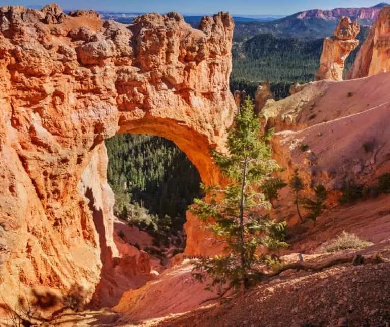 things to do in Bryce Canyon with kids include visiting Natural bridge