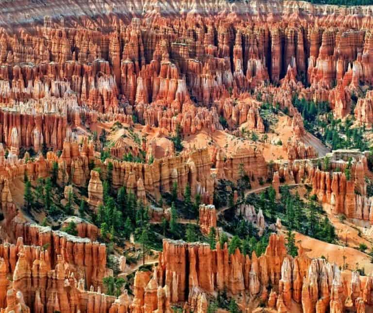Bryce Canyon National Park is great to visit with kids