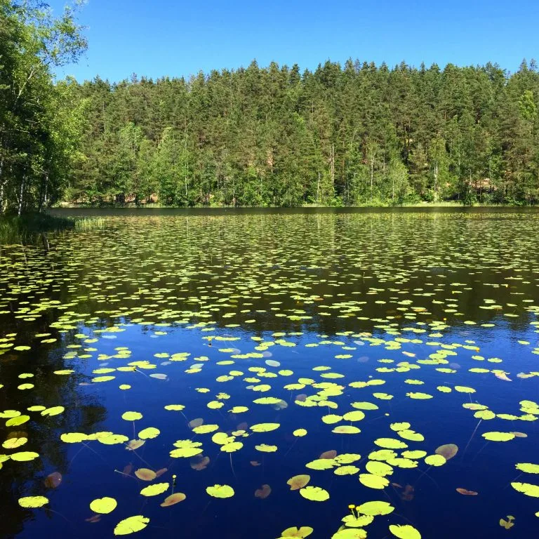 Beautiful lake in Finland