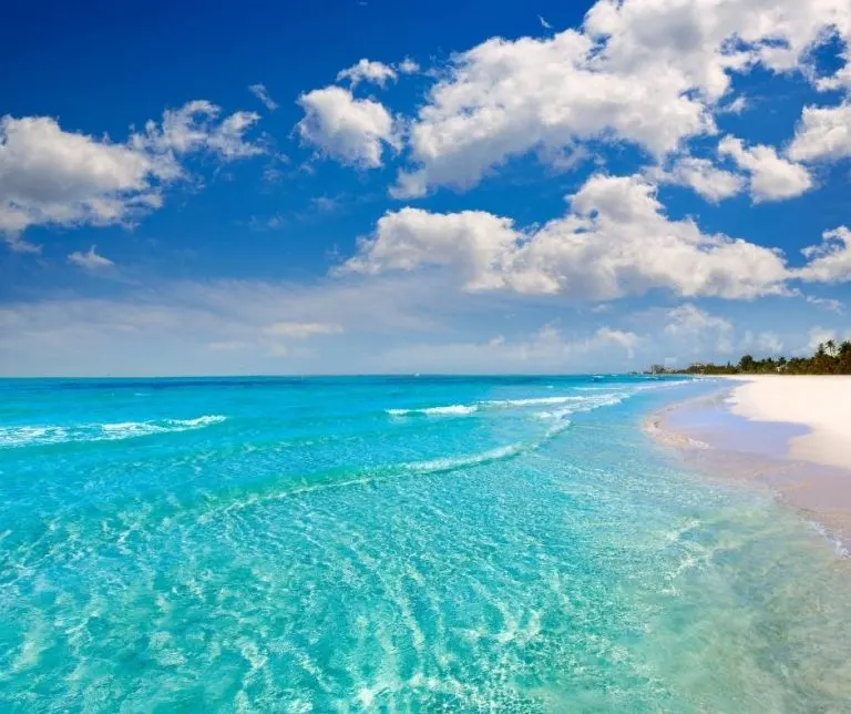 Over 50 Fun Things to Do in Florida with Family on Vacation 18 Going to the beach is one of the best things to do in Florida with kids