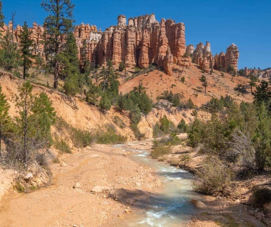 Bryce Canyon with Kids- The Best Hikes, Activities, & More! 3